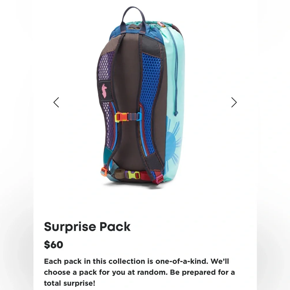 NEW Cotopaxi Luzon 18L Backpack - Picture 14 of 14